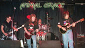 ANIMAL GRACE profile picture