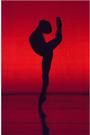 Momix Dance Company profile picture