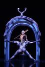 Momix Dance Company profile picture