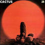 Cactus profile picture