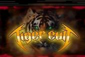 Tiger Cult profile picture