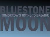 Bluestone Moon profile picture