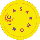 casarmonica profile picture