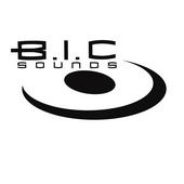 B.I.C SOUNDS profile picture