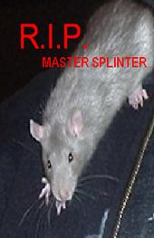 R.I.P. MASTER SPLINTER profile picture