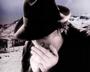 Alain Bashung profile picture