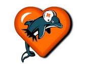 Dolphins!!!! profile picture