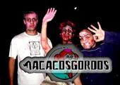 Macacos Gordos profile picture