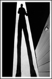 North Shadow profile picture