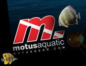 motusgear