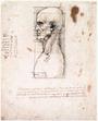 Leonardo Da Vinci profile picture