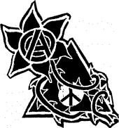 ANARCHO BANDS AND FANS(NET ZINE) profile picture