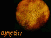 cymaticsrecords