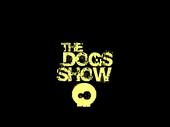 The Dog's Show profile picture