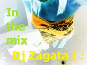 Dj zagata profile picture