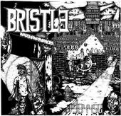 Bristle profile picture