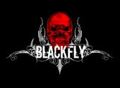 Blackfly profile picture