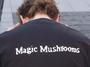 Magic Mushrooms profile picture