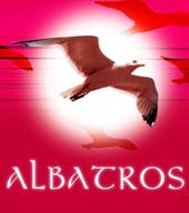 Albatros profile picture