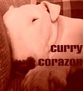 Curry Corazon profile picture