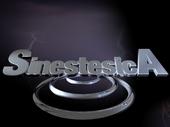 SINESTESICA profile picture