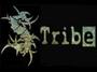 S-Tribe profile picture