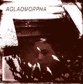 Aglaomorpha profile picture