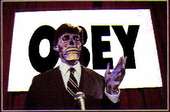 they live profile picture