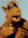 ALF profile picture