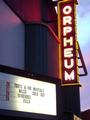 The Orpheum Theater profile picture