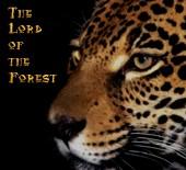 The Lord of the Forest profile picture