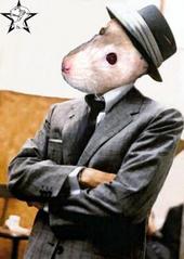 The Rat Fancier profile picture