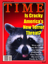 crackythecoon