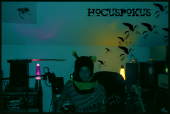 Hocus Pocus profile picture