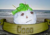 Coco profile picture