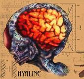 HYALINE profile picture