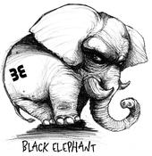 Black Elephant Lives profile picture