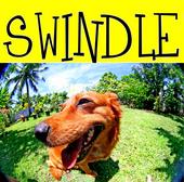 SWINDLE profile picture