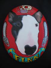 finnthebullterrier