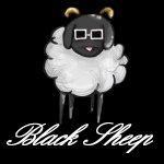 Black Sheep profile picture