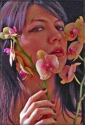 Ever Orchid profile picture