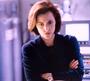 Dana Scully profile picture