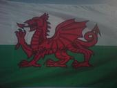 welsh_and_proudno1