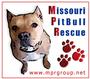 Missouri PitBull Rescue profile picture