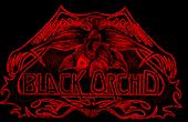 Black Orchid profile picture