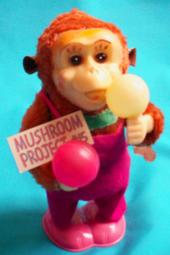 mushroomproject15