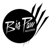 BIG PAW RECORDS profile picture