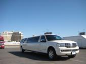 Big Dog Limousine. profile picture