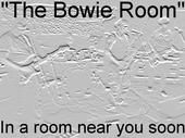 The Bowie Room profile picture