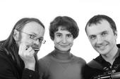 Harmonika Ringelpiez Band profile picture